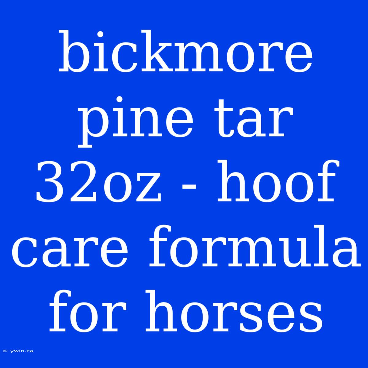 Bickmore Pine Tar 32oz - Hoof Care Formula For Horses