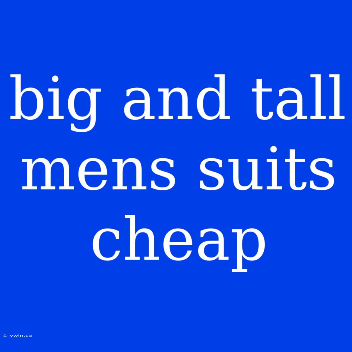 Big And Tall Mens Suits Cheap