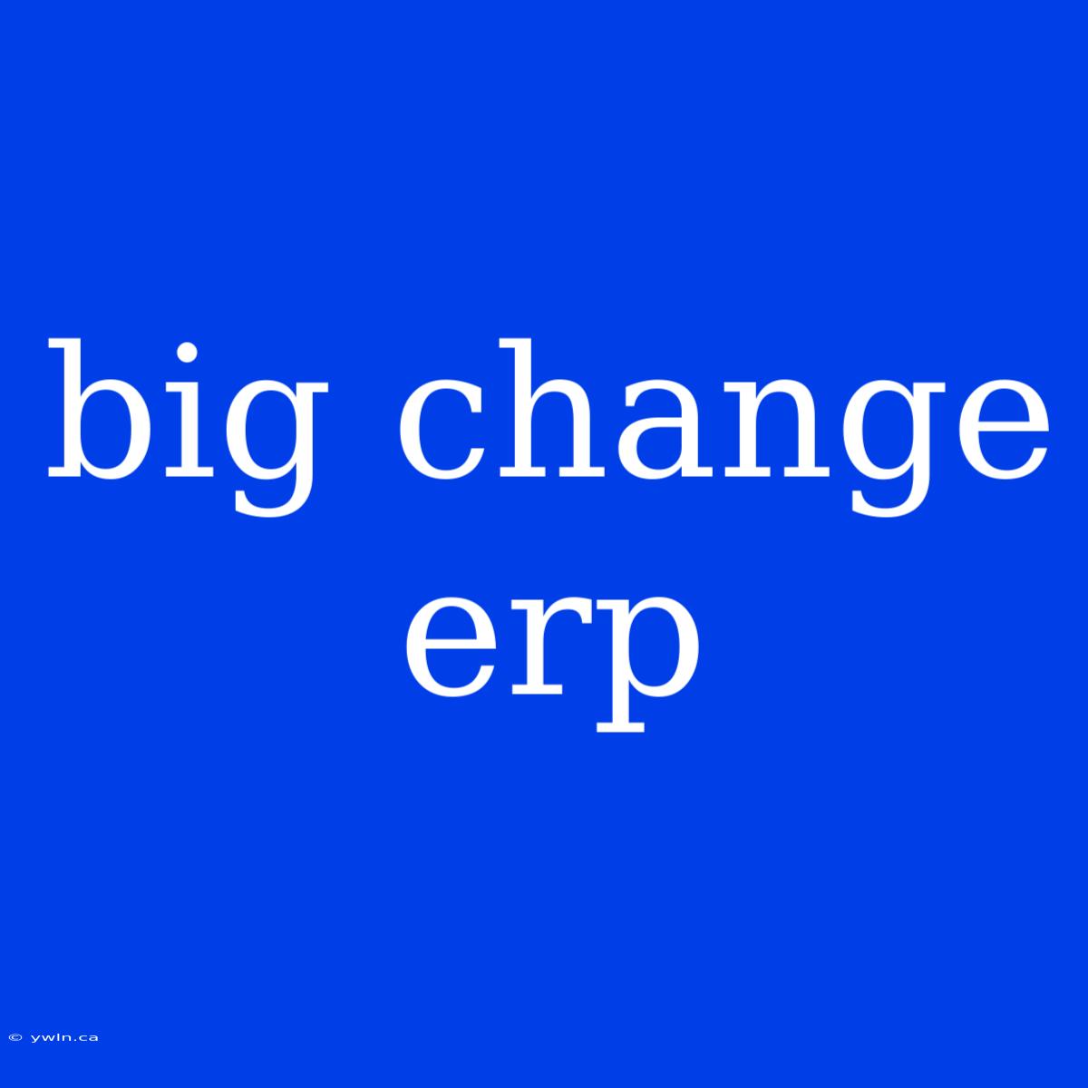 Big Change Erp