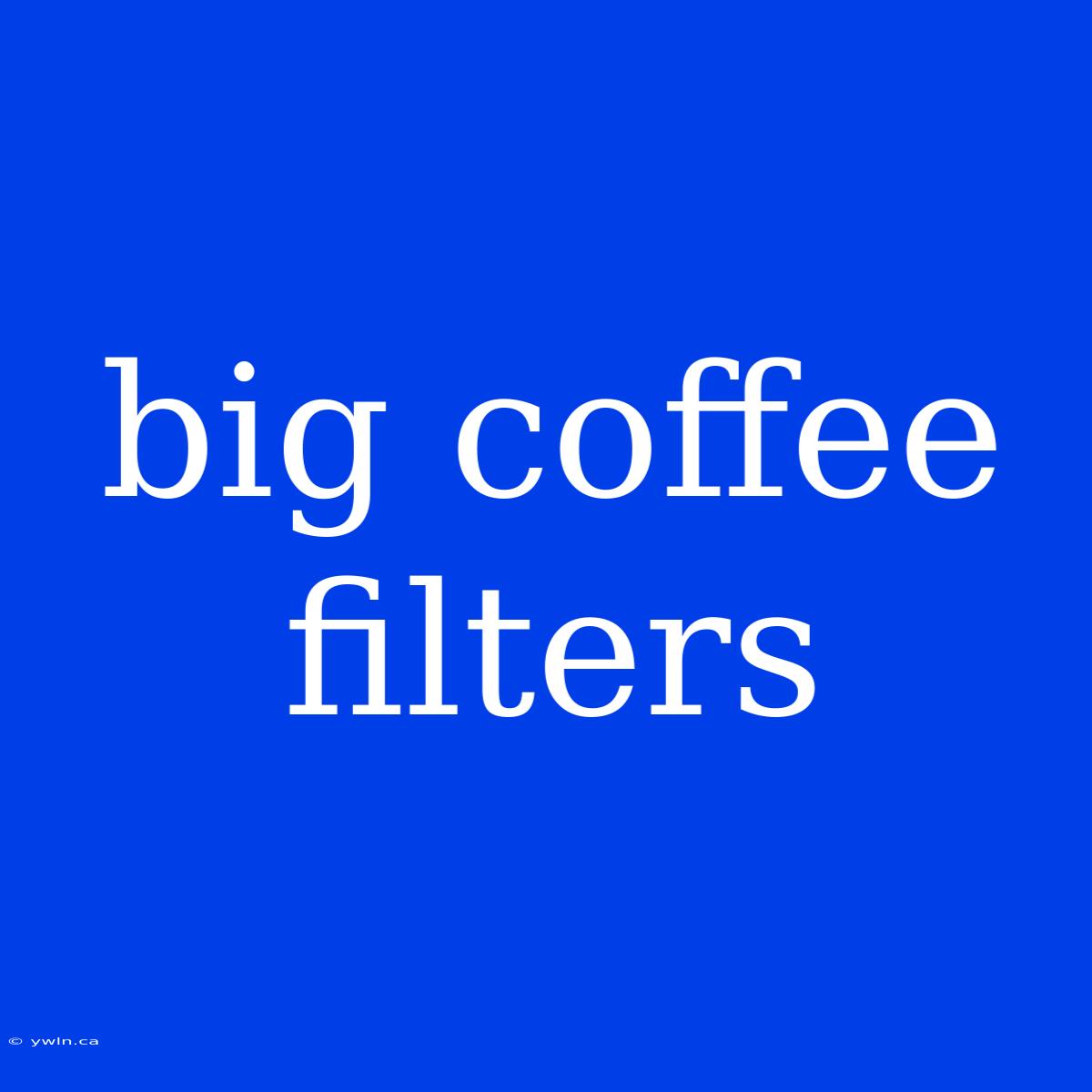 Big Coffee Filters