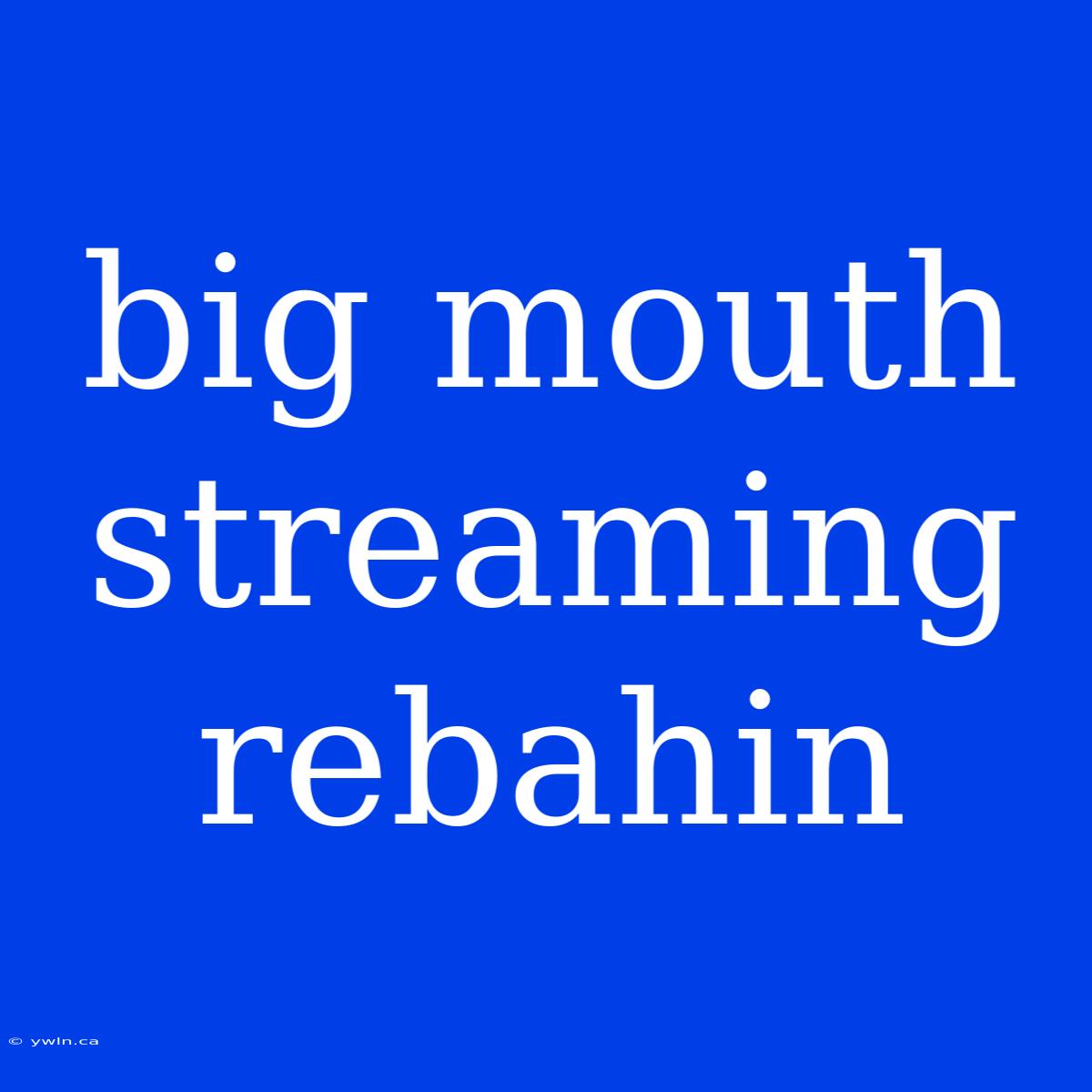 Big Mouth Streaming Rebahin