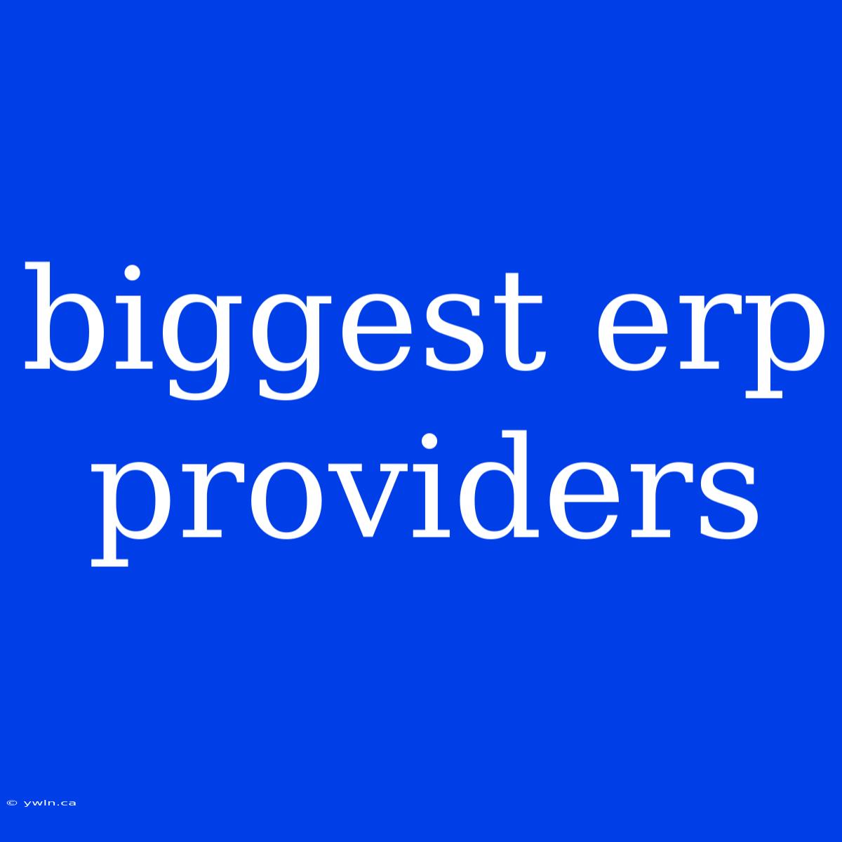 Biggest Erp Providers