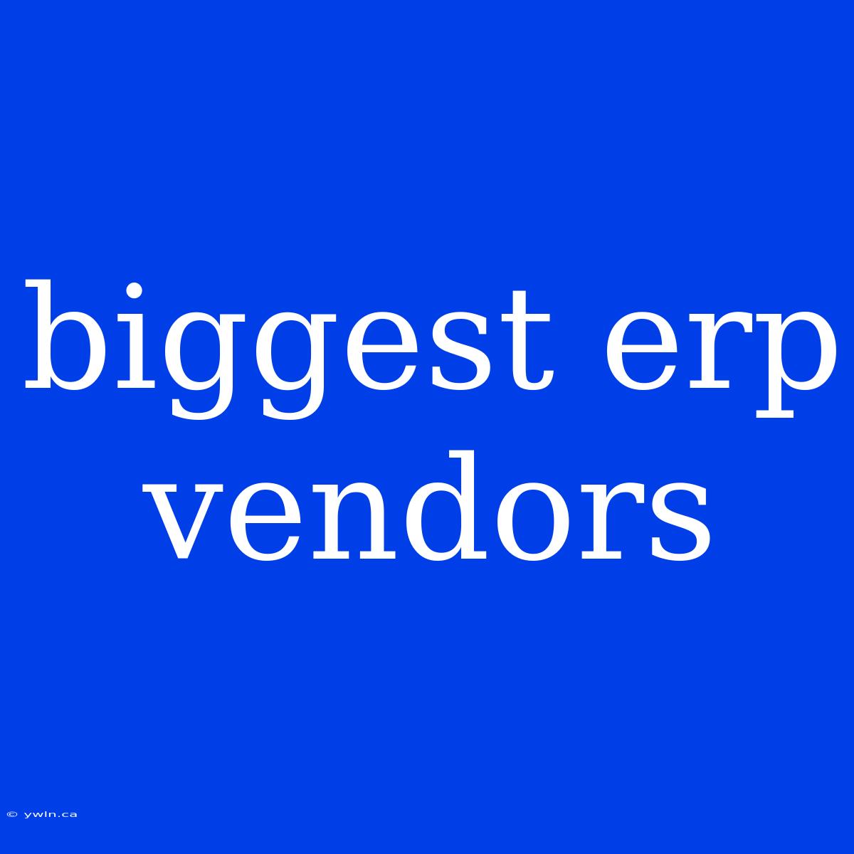 Biggest Erp Vendors