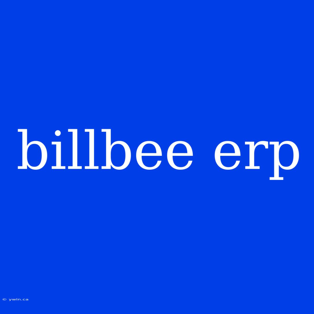 Billbee Erp