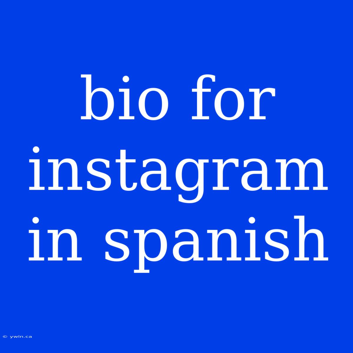 Bio For Instagram In Spanish