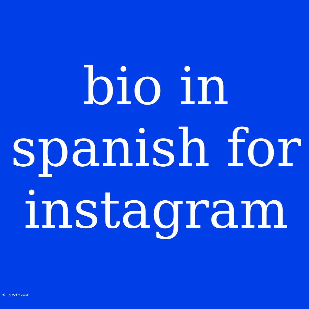 Bio In Spanish For Instagram