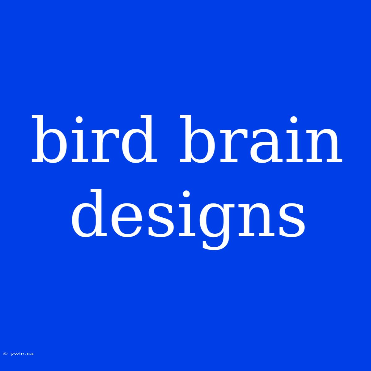 Bird Brain Designs