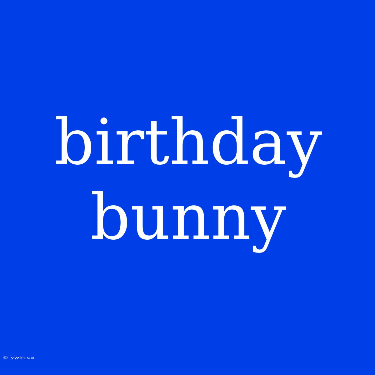 Birthday Bunny