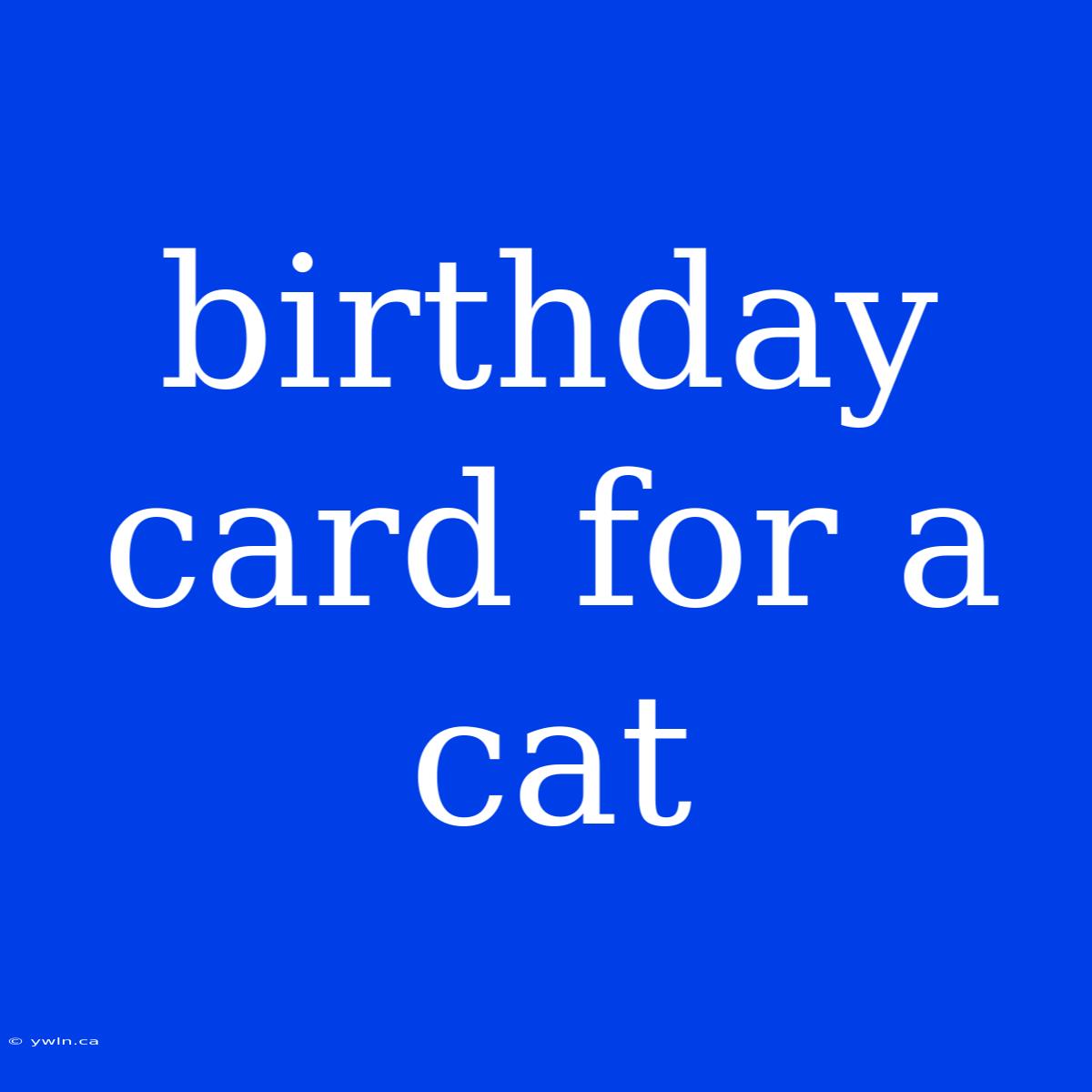 Birthday Card For A Cat