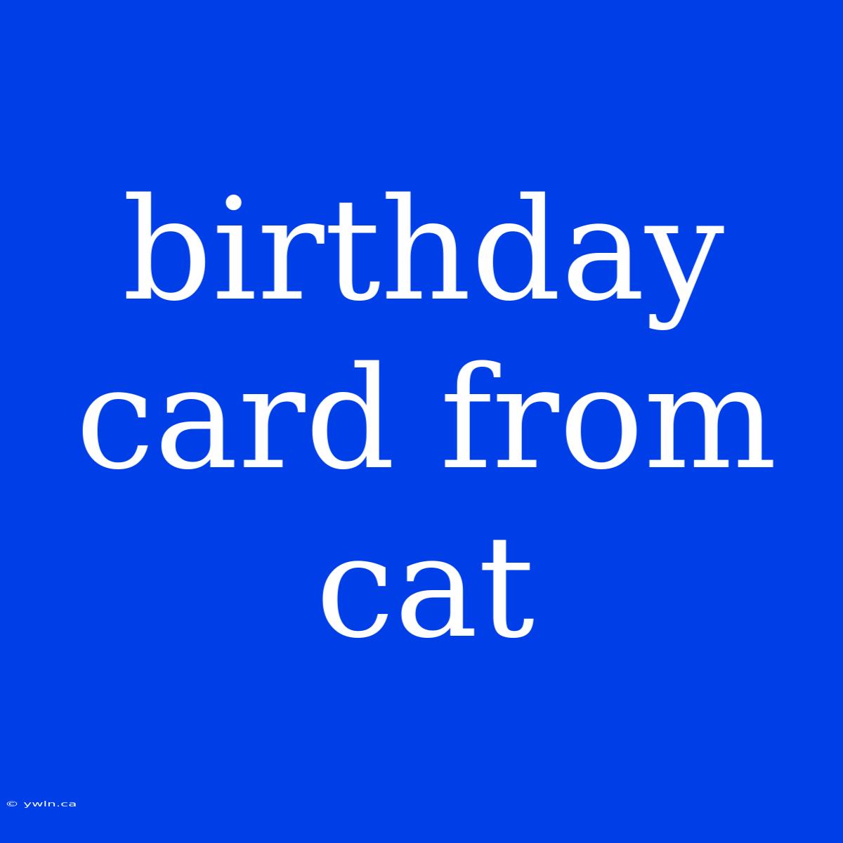 Birthday Card From Cat