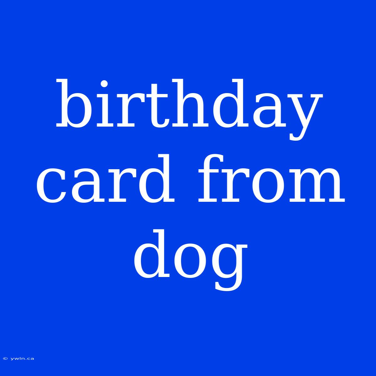 Birthday Card From Dog