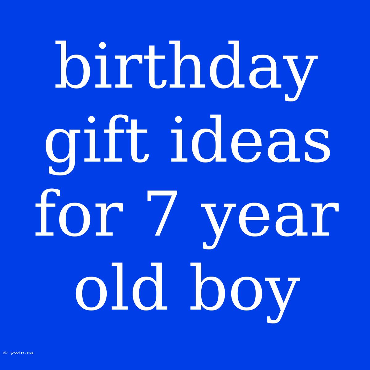 Birthday Gift Ideas For 7 Year Old Boy