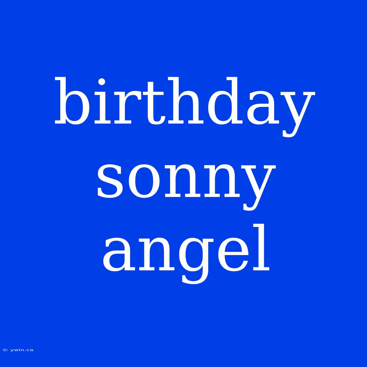 Birthday Sonny Angel