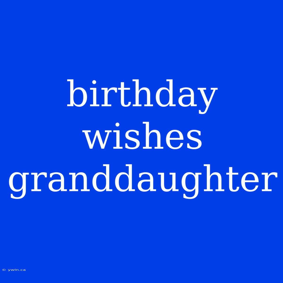 Birthday Wishes Granddaughter