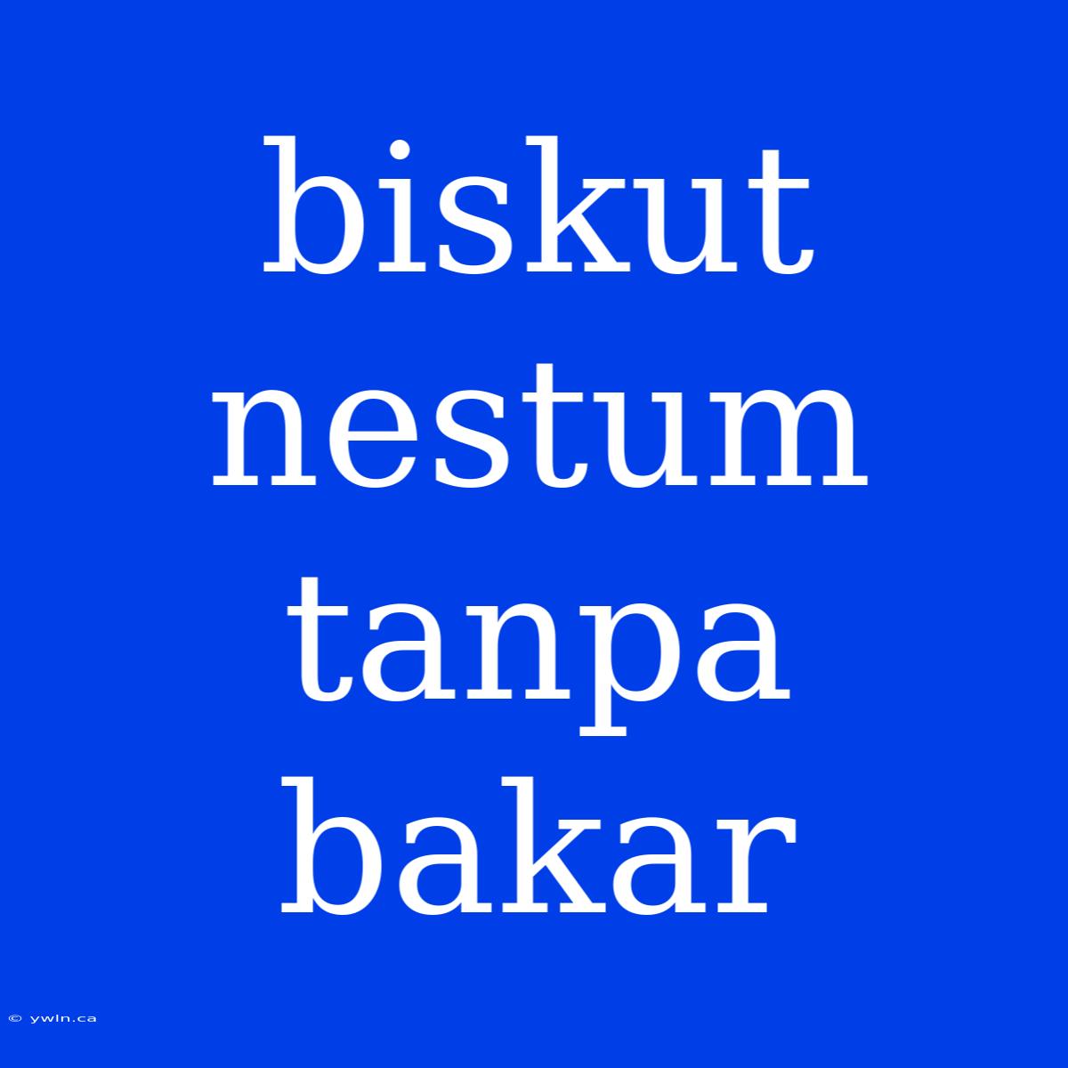 Biskut Nestum Tanpa Bakar