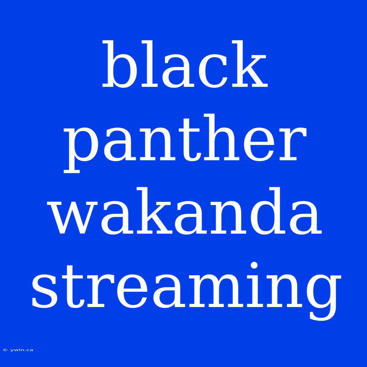 Black Panther Wakanda Streaming