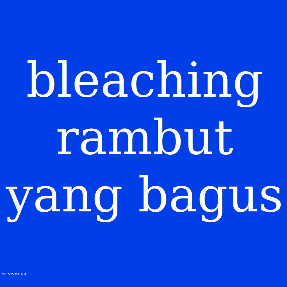 Bleaching Rambut Yang Bagus