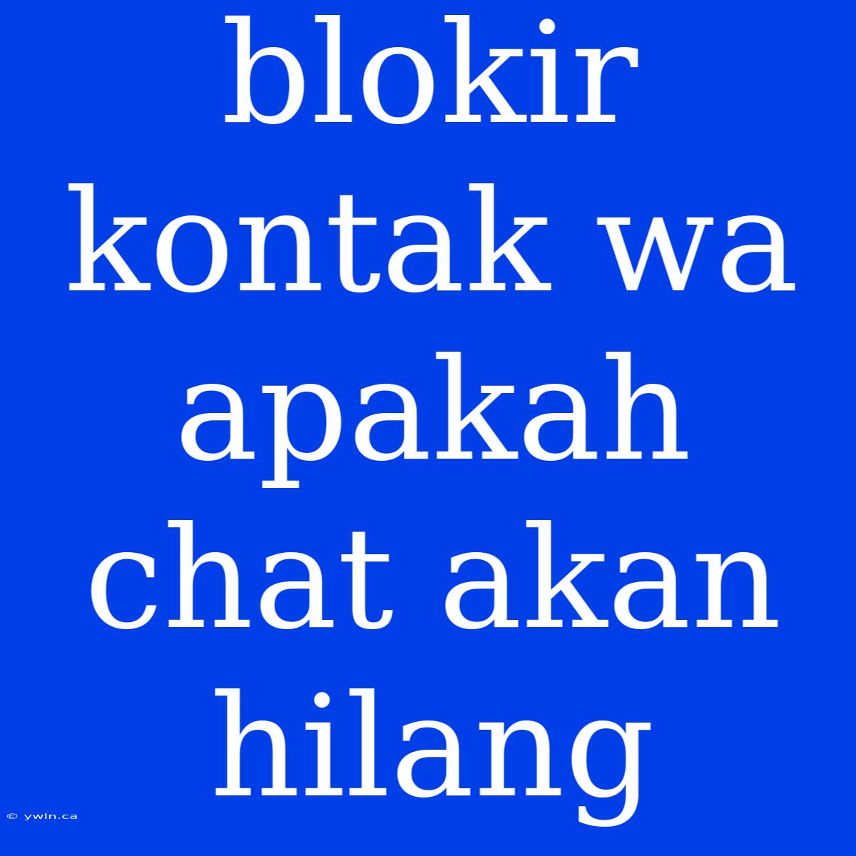 Blokir Kontak Wa Apakah Chat Akan Hilang