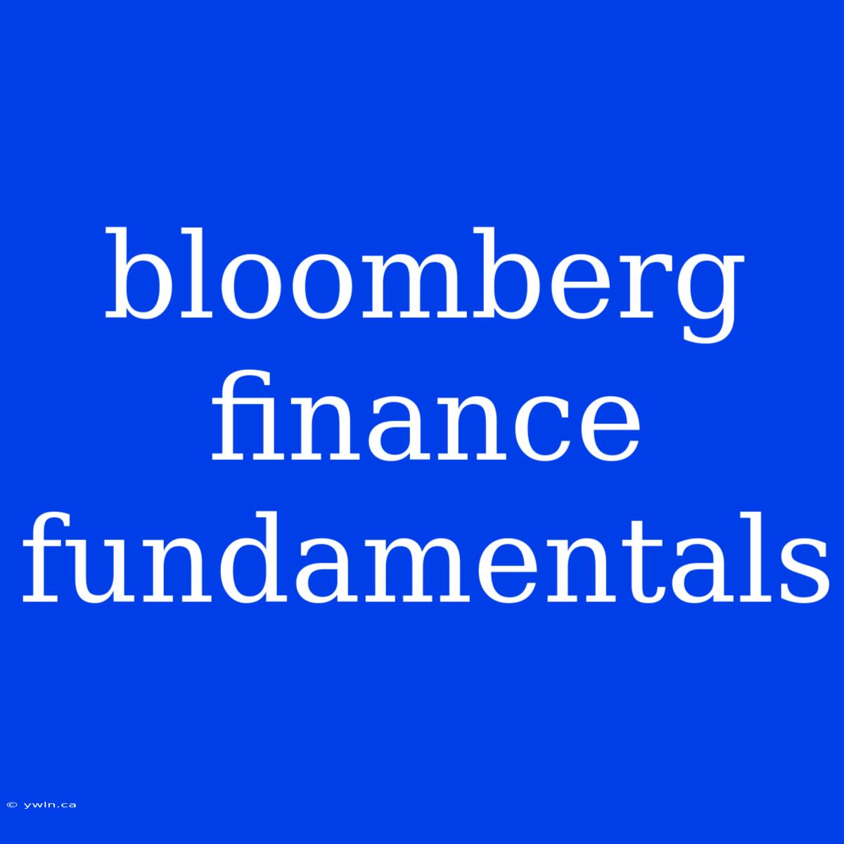 Bloomberg Finance Fundamentals