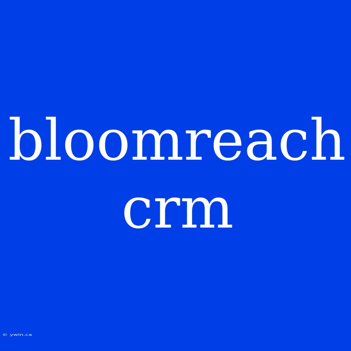 Bloomreach Crm