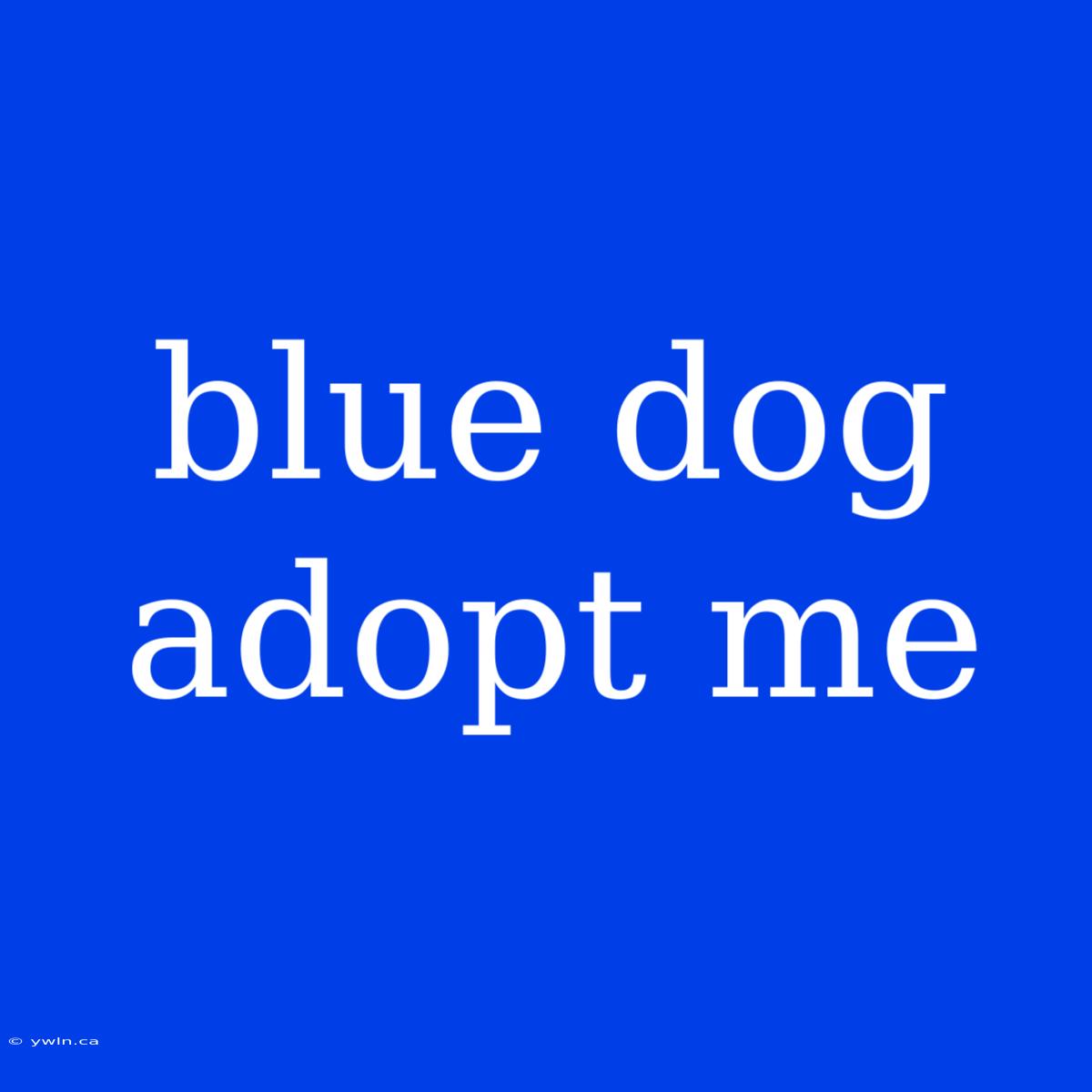 Blue Dog Adopt Me