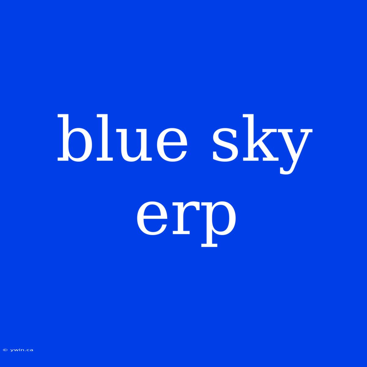 Blue Sky Erp