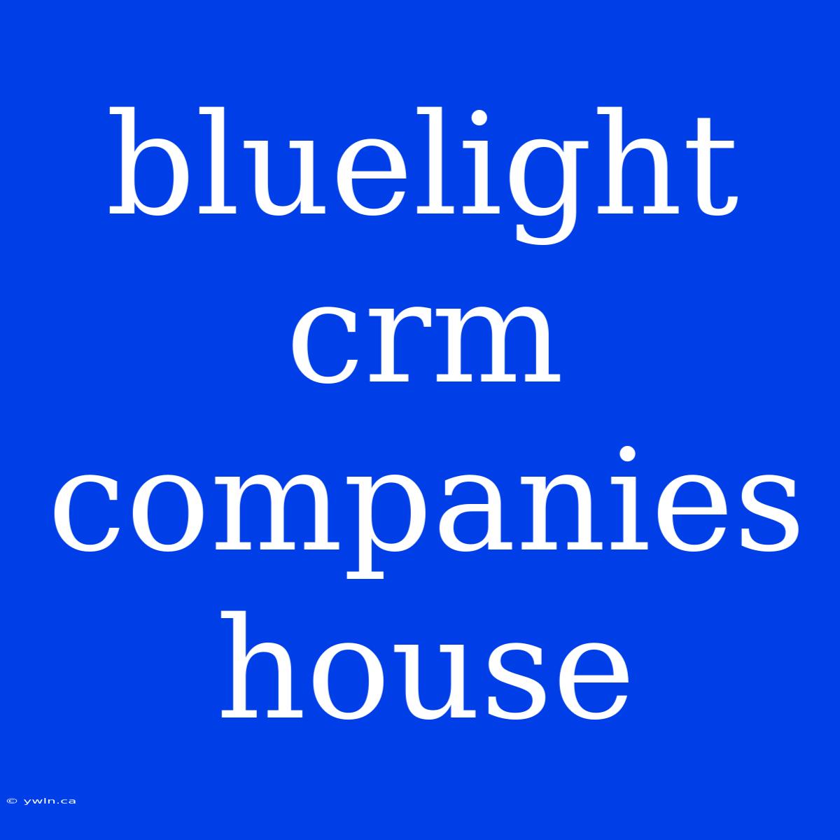 Bluelight Crm Companies House