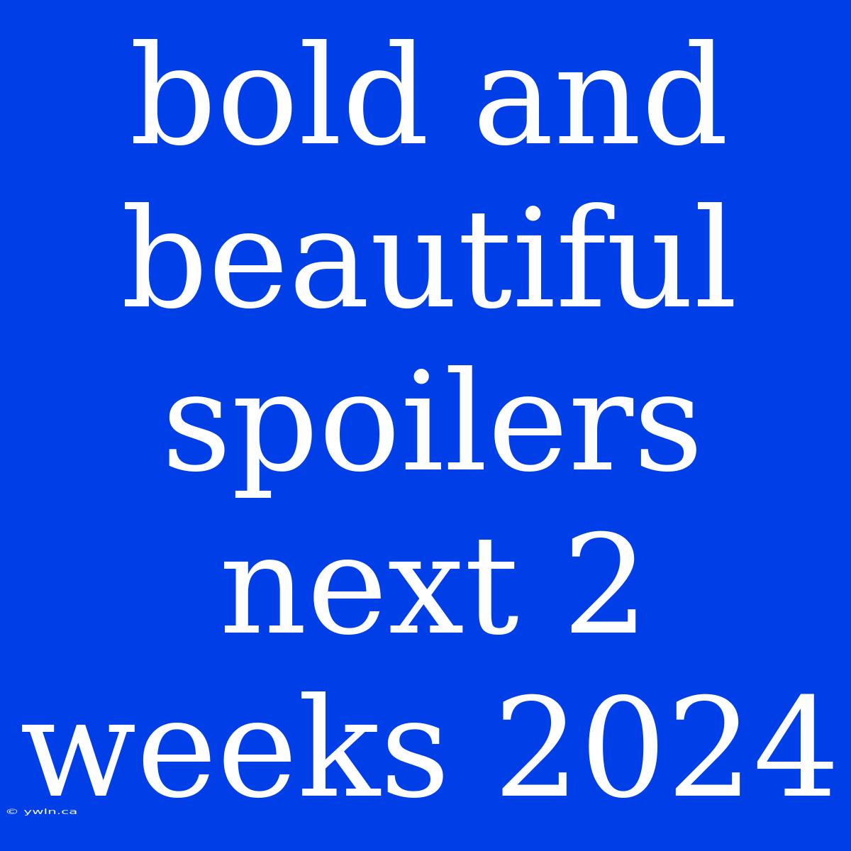 Bold And Beautiful Spoilers Next 2 Weeks 2024