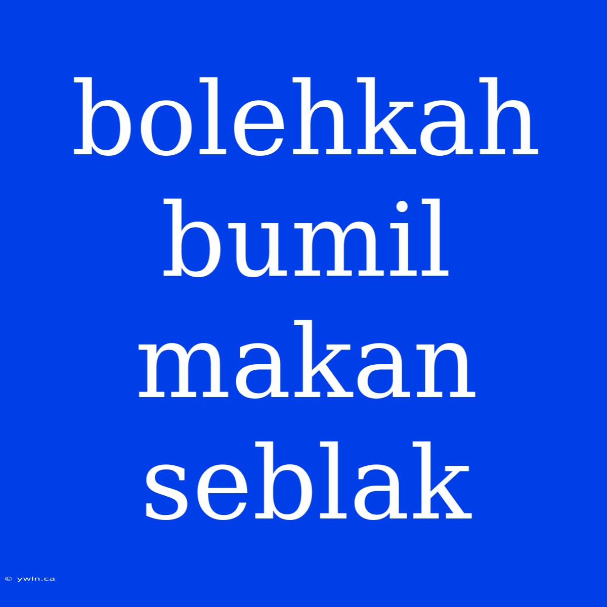 Bolehkah Bumil Makan Seblak