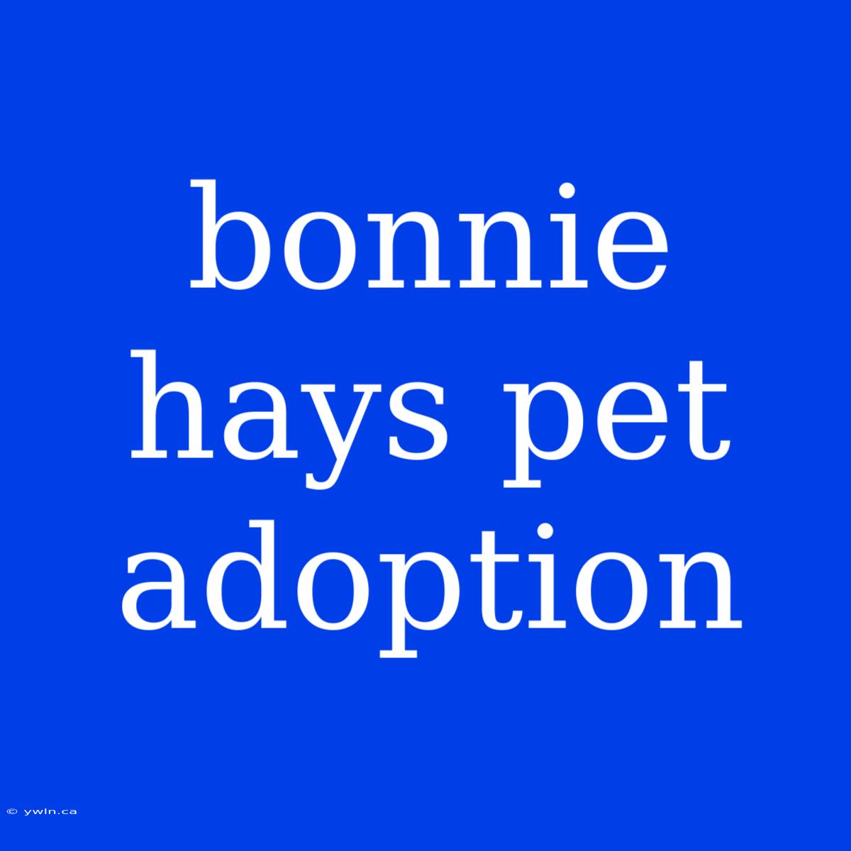 Bonnie Hays Pet Adoption