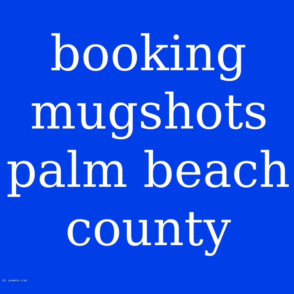 Booking Mugshots Palm Beach County