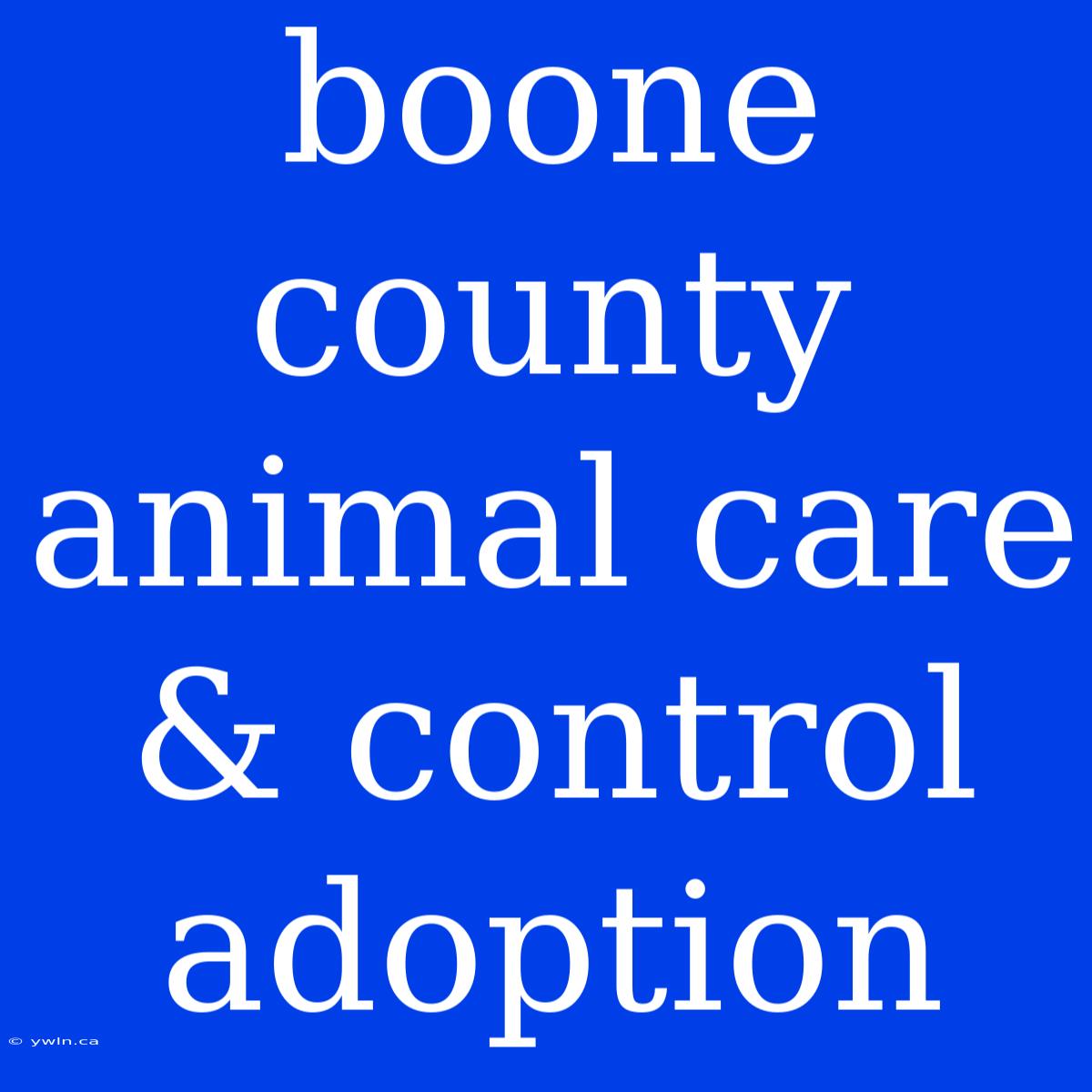 Boone County Animal Care & Control Adoption