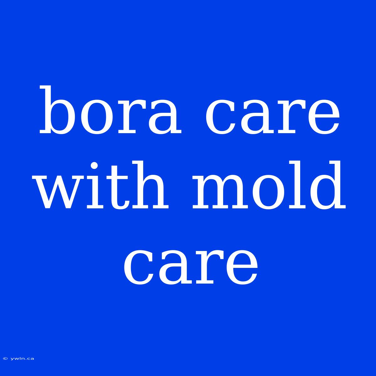 Bora Care With Mold Care