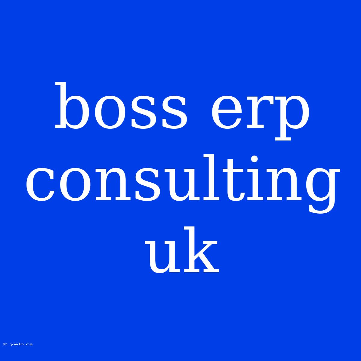 Boss Erp Consulting Uk