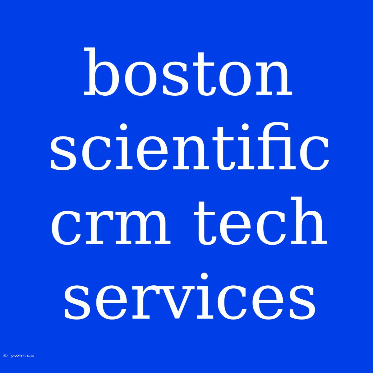 Boston Scientific Crm Tech Services