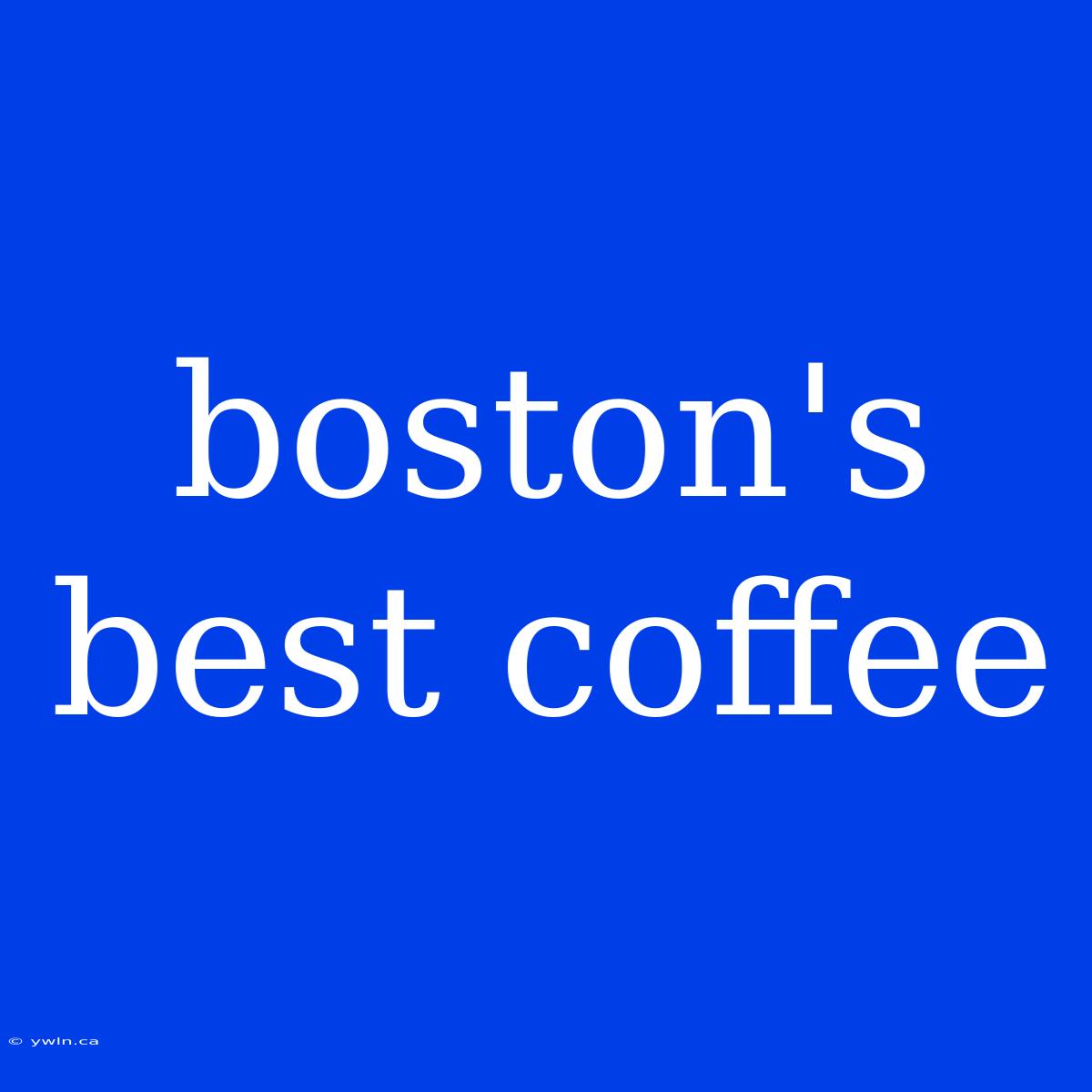 Boston's Best Coffee