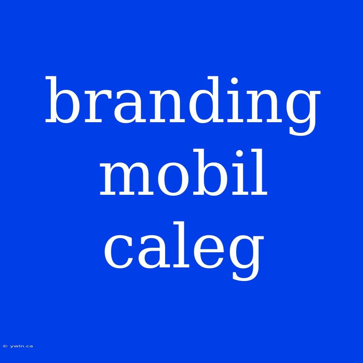 Branding Mobil Caleg