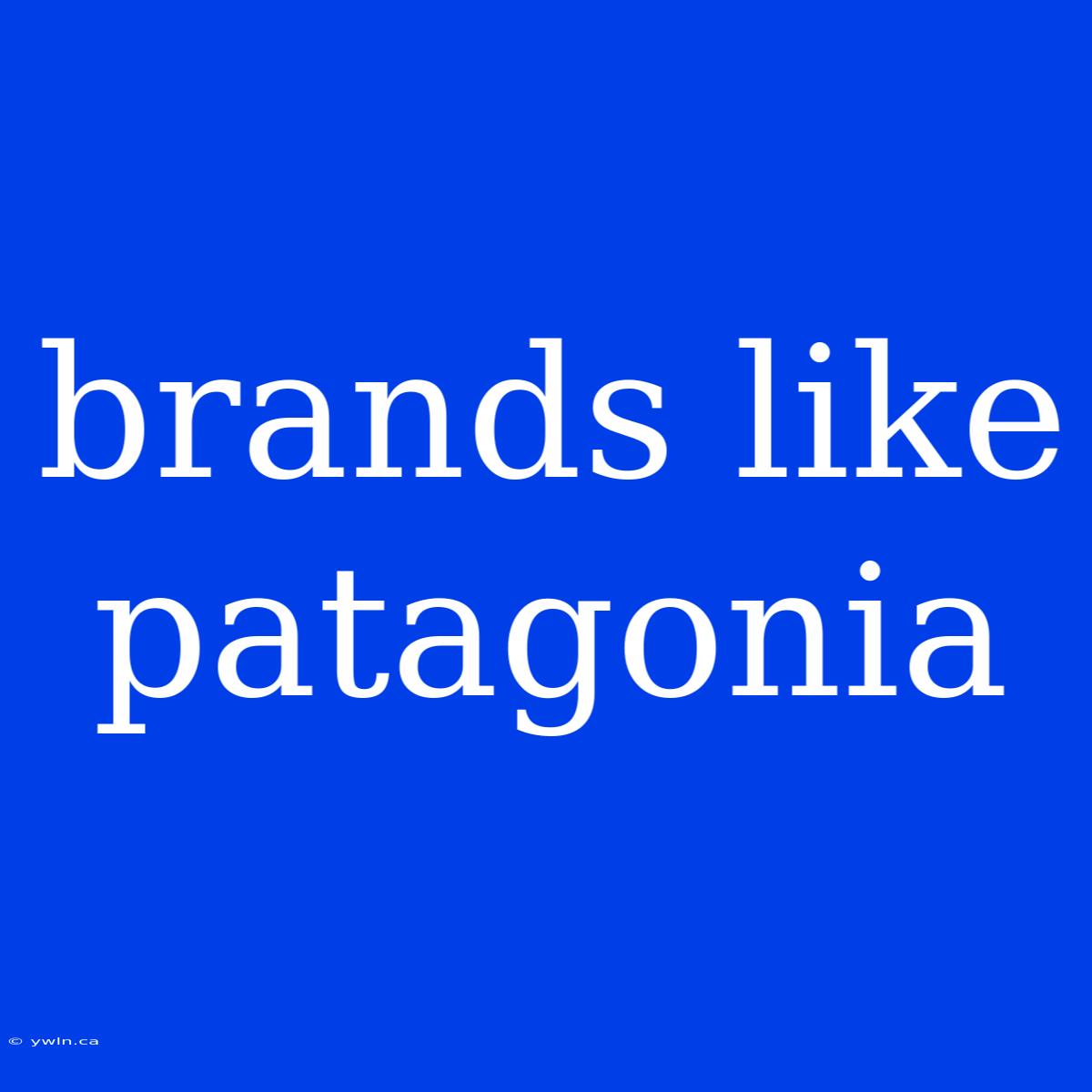 Brands Like Patagonia