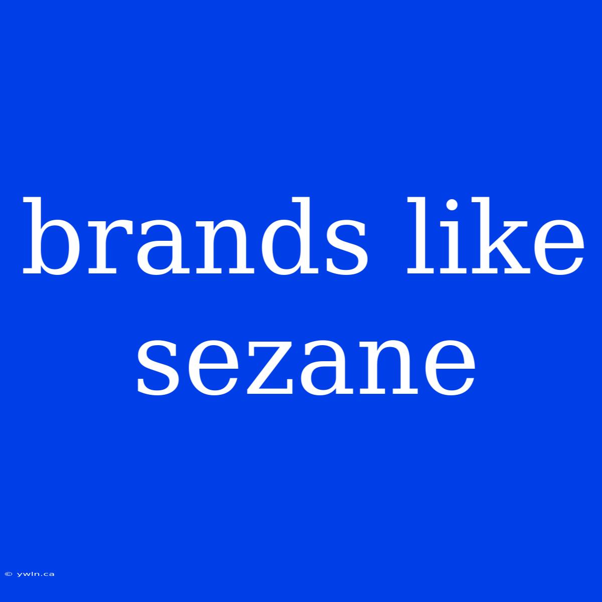 Brands Like Sezane