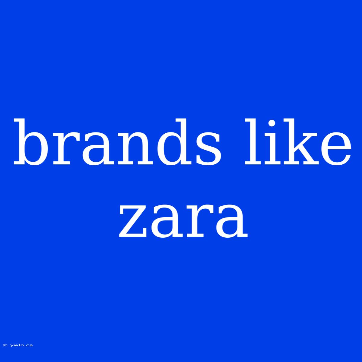 Brands Like Zara