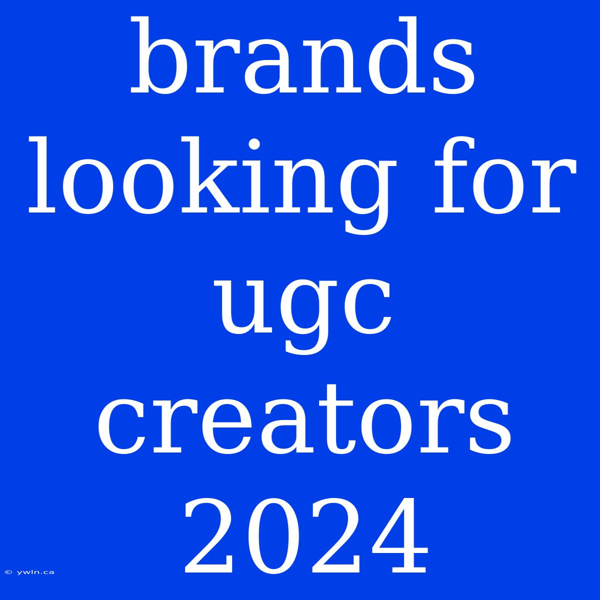 Brands Looking For Ugc Creators 2024