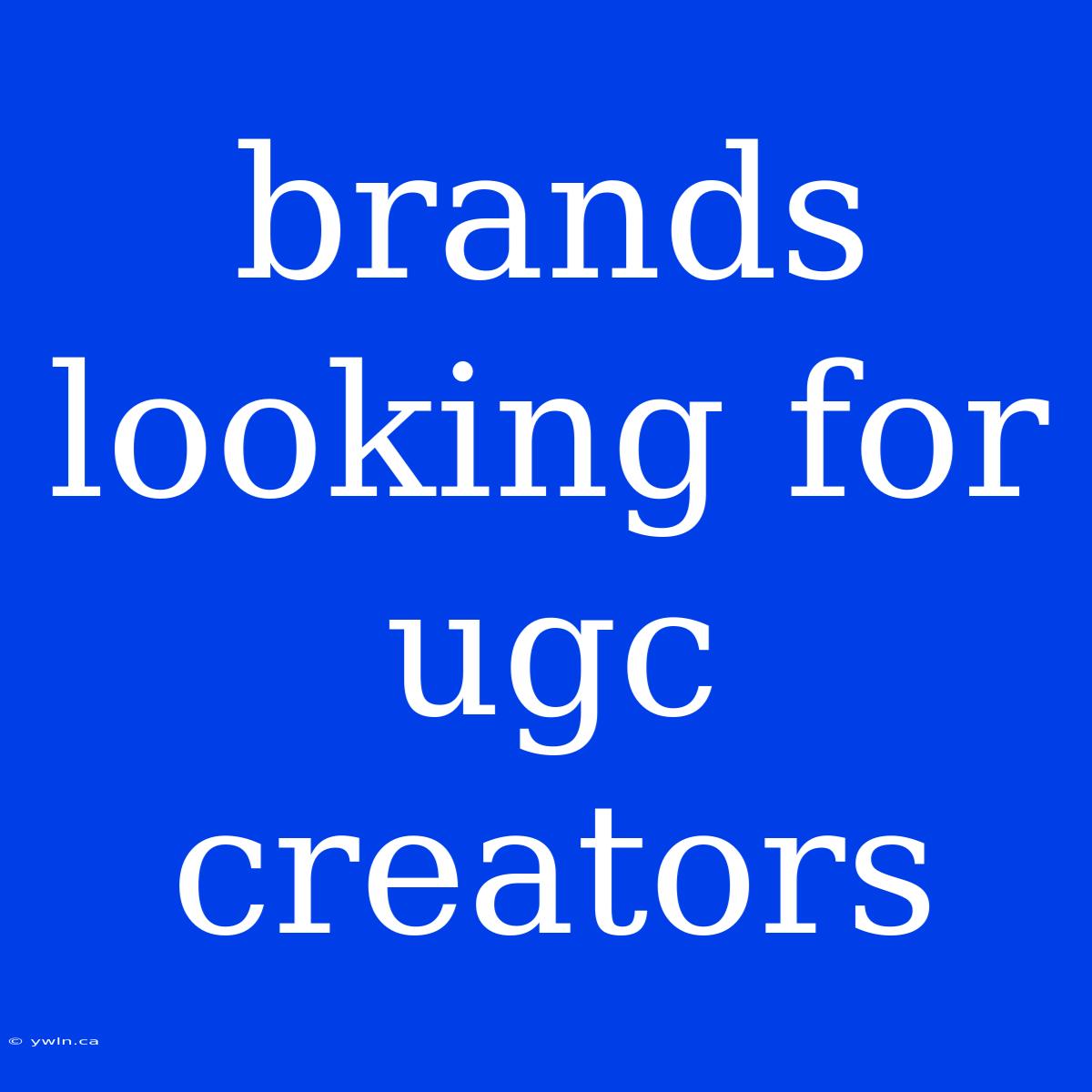 Brands Looking For Ugc Creators