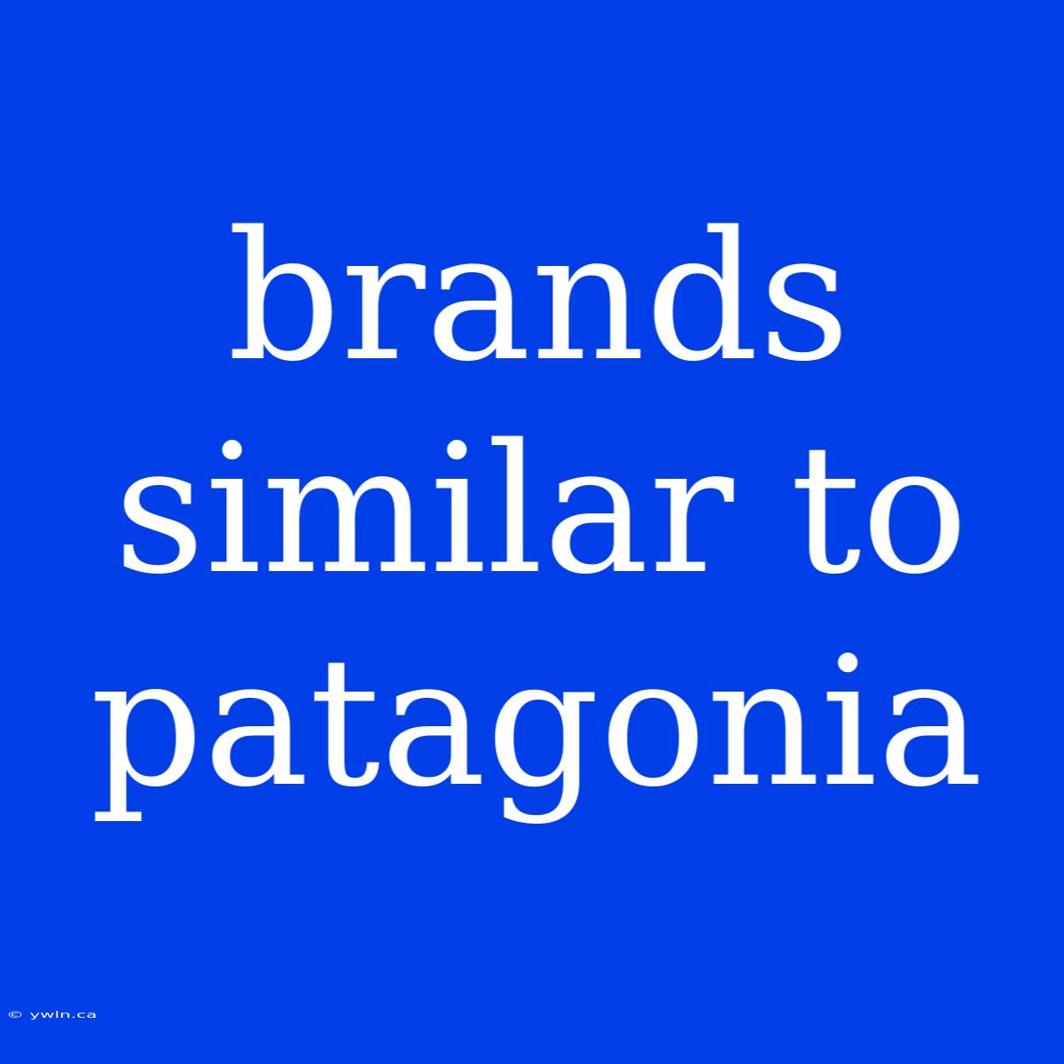 Brands Similar To Patagonia