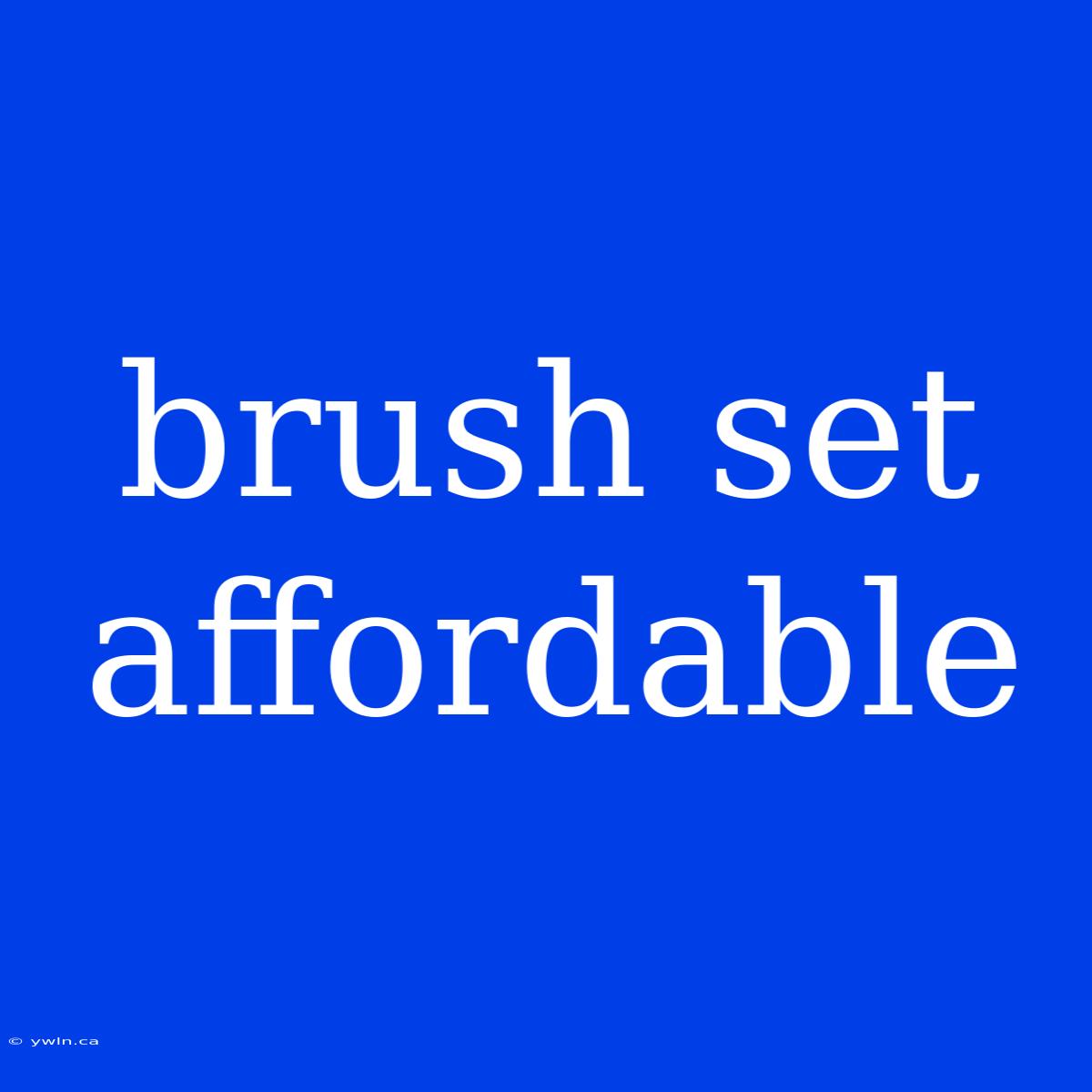 Brush Set Affordable