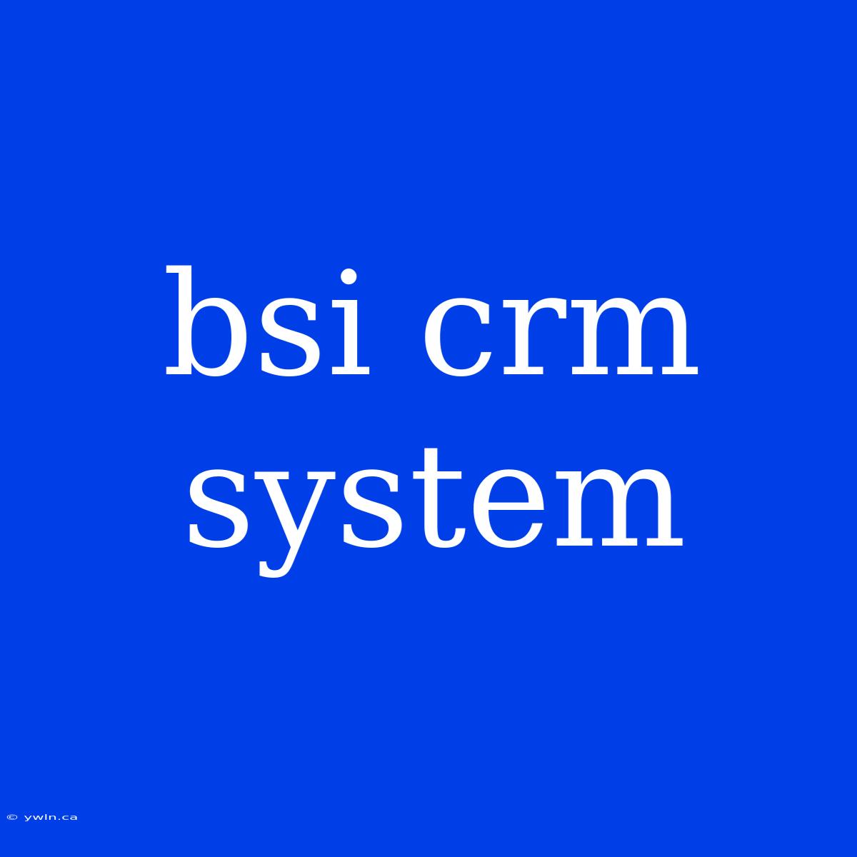 Bsi Crm System