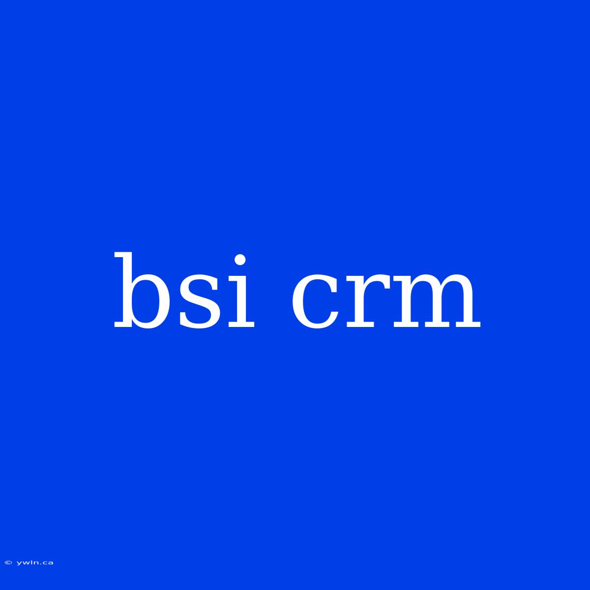 Bsi Crm