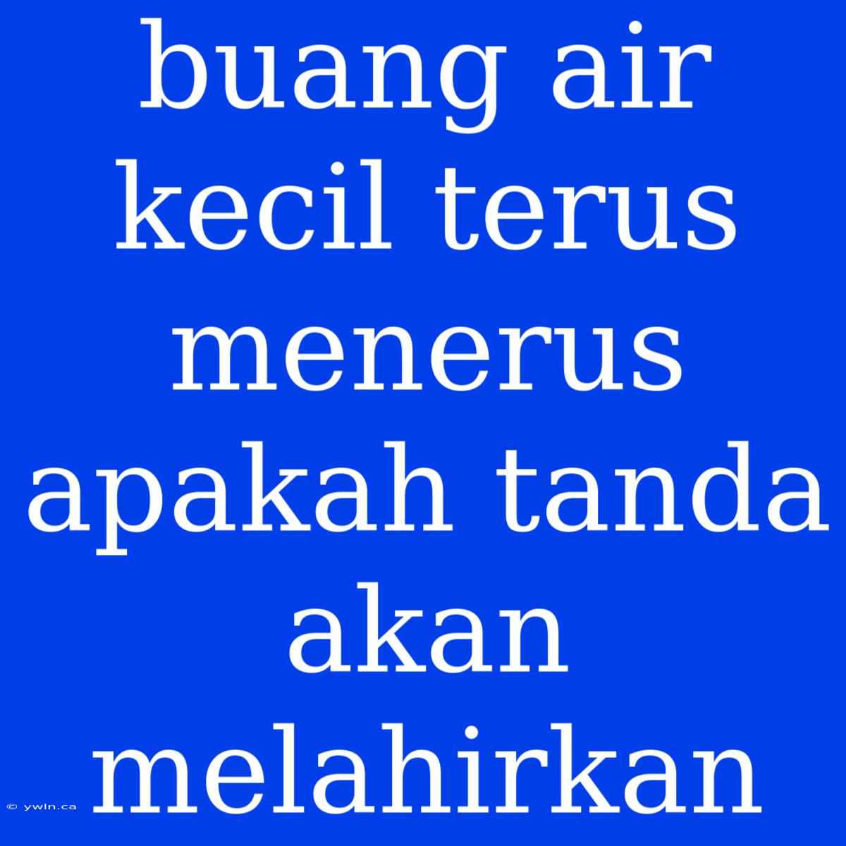 Buang Air Kecil Terus Menerus Apakah Tanda Akan Melahirkan