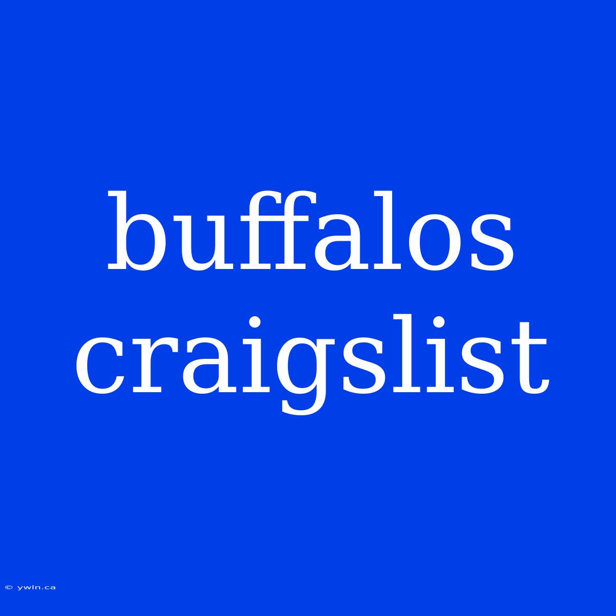 Buffalos Craigslist