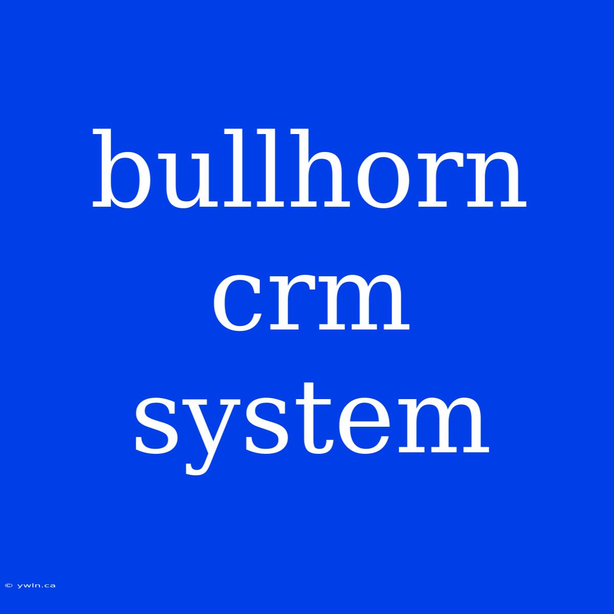 Bullhorn Crm System