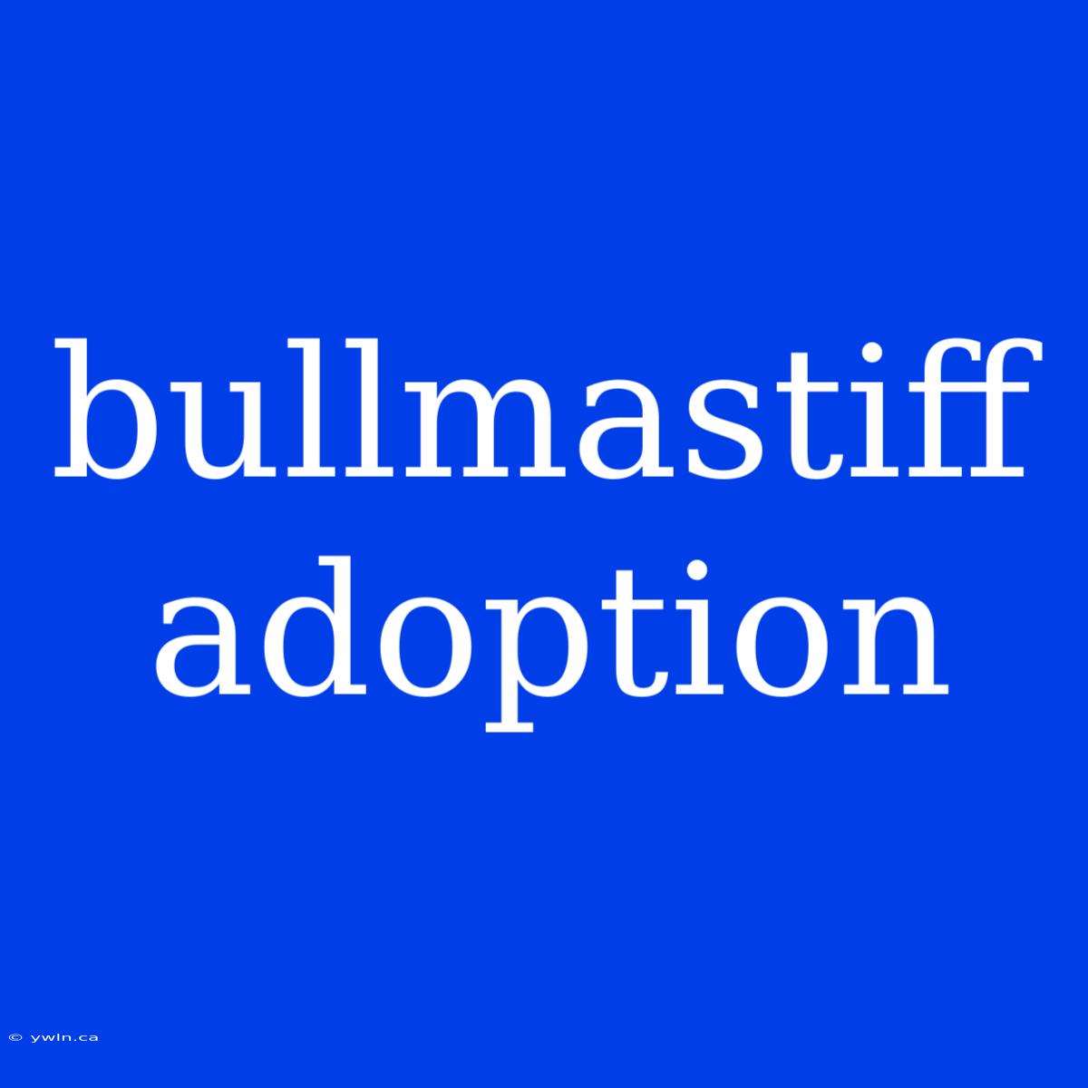 Bullmastiff Adoption